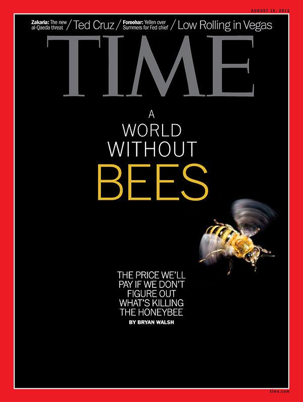Arıların olmadığı bir dünya (Time Dergisinden)